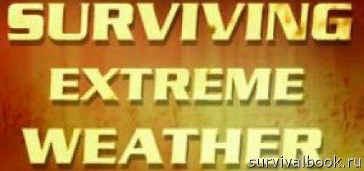 Скачать Выжить в экстремальных условиях (Surviving extreme weather)