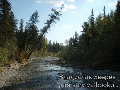 Река Серебрянка, Свердловская обл., Россия.