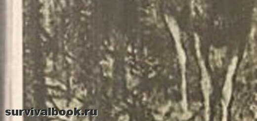 Справочник охотника. В.П.Романовский, 1979
