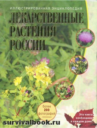 Лекарственные растения России. Иллюстрированная энциклопедия. Ильина Т., 2006